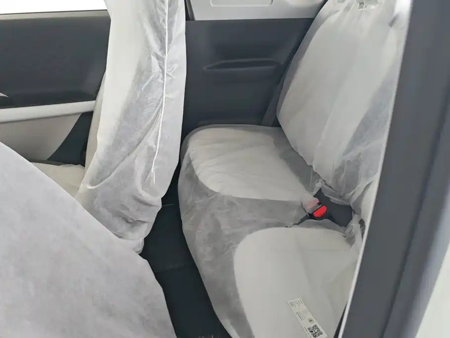 Geely Galaxy Panda 2026 2025 Panda mini 210km Vitality Bear