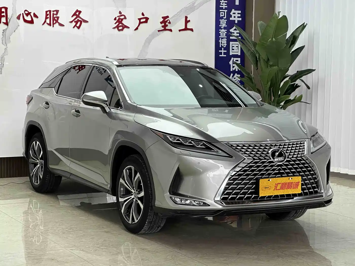 Lexus RX 2021 300 AWD Special Edition фото 3
