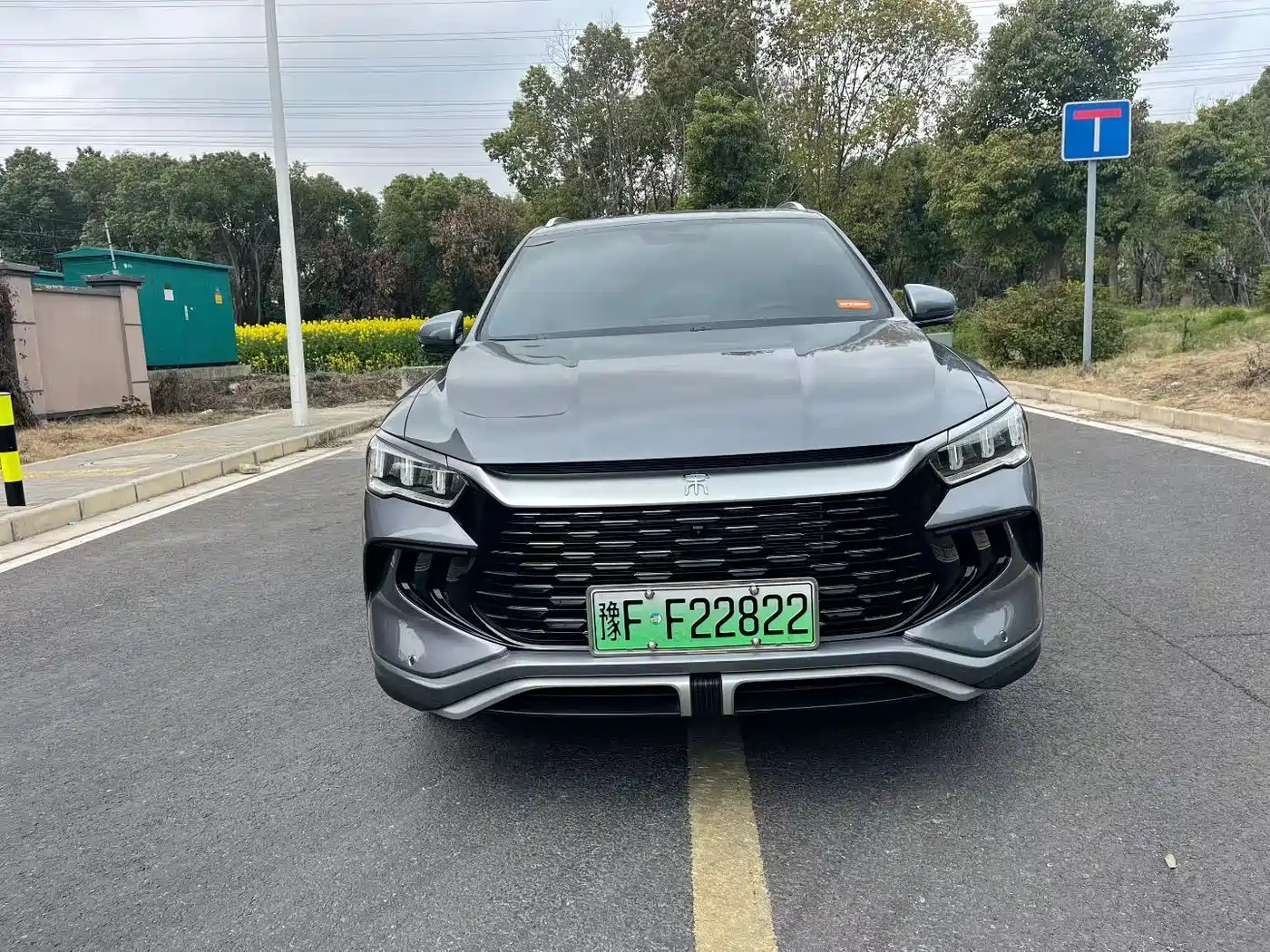 BYD Song Pro New Energy 2024 Glory Edition DM-i 71KM Pilot фото 2