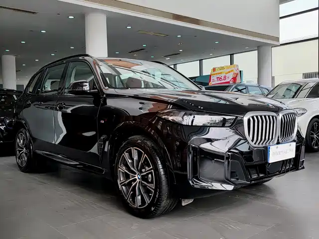 BMW X5 2025 Model xDrive 30Li M Sport Blackout Package — фото 5