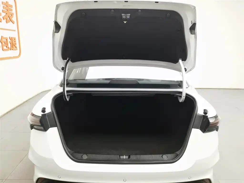 GEELY AUTOMOBILE BINRUI