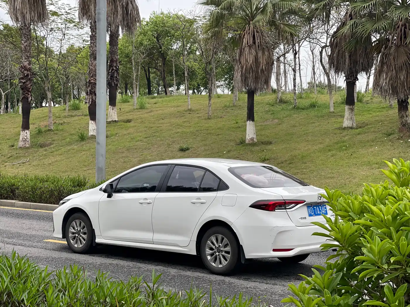 Toyota Corolla 2023 1.2T Pioneer Edition фото 6