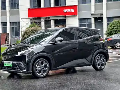 BYD Seagull