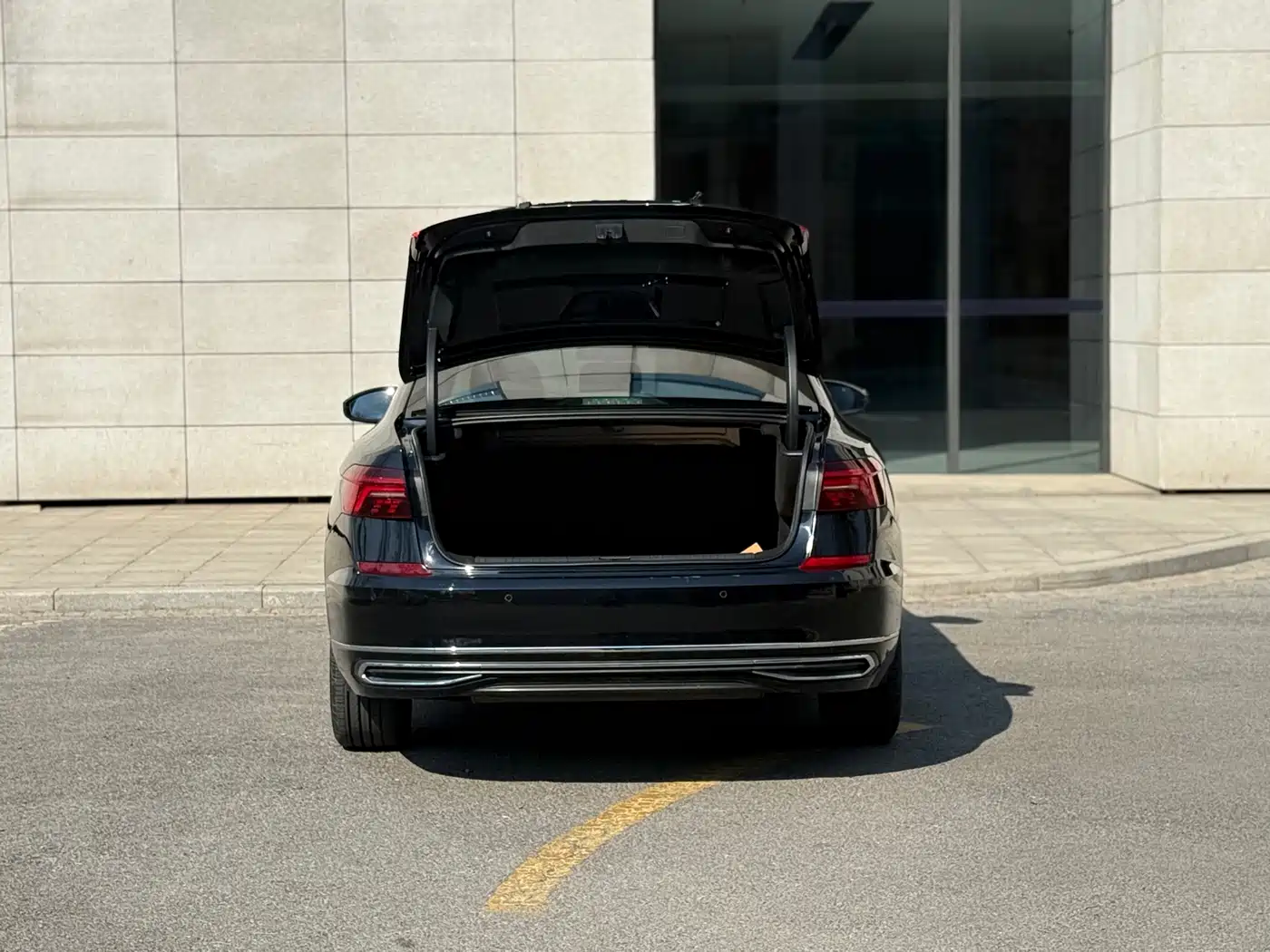 VOLKSWAGEN PASSAT NEW ENERGY