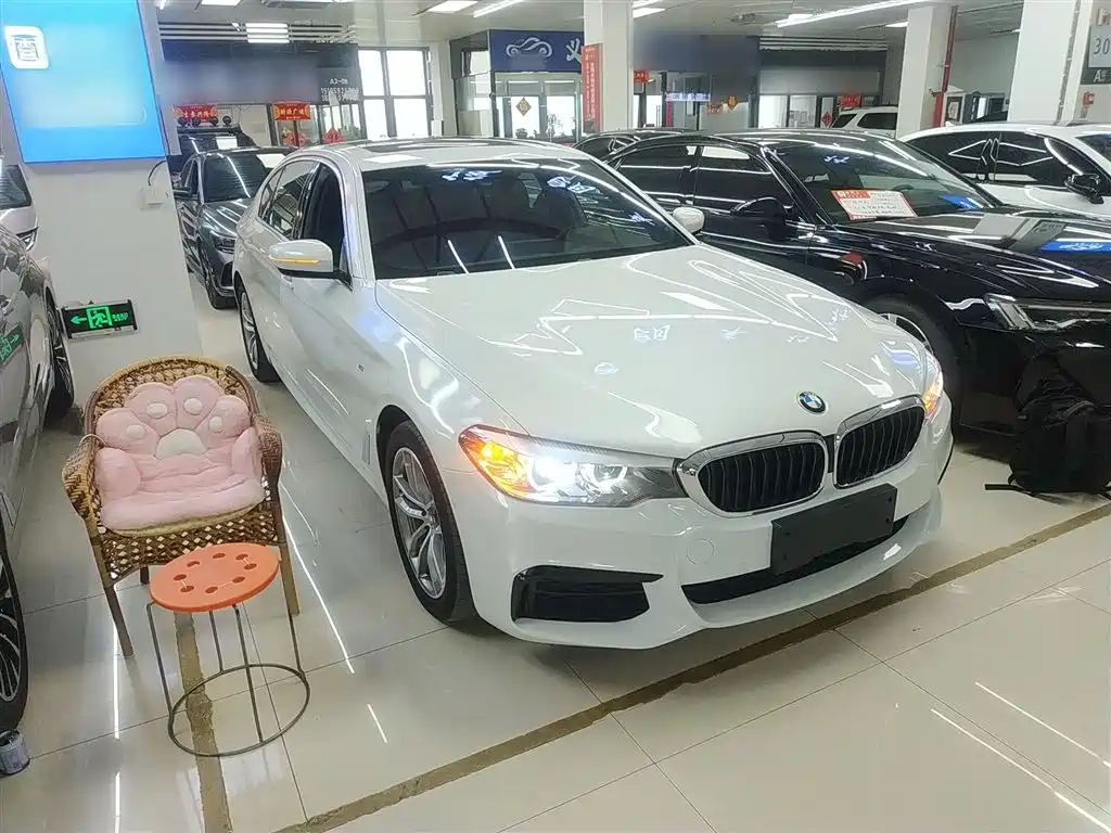 BMW 5 Series 2020 525Li M Sport Package фото 4