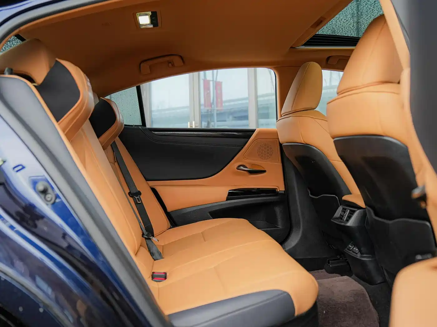 Lexus ES 2022 300h Excellence Edition фото 13