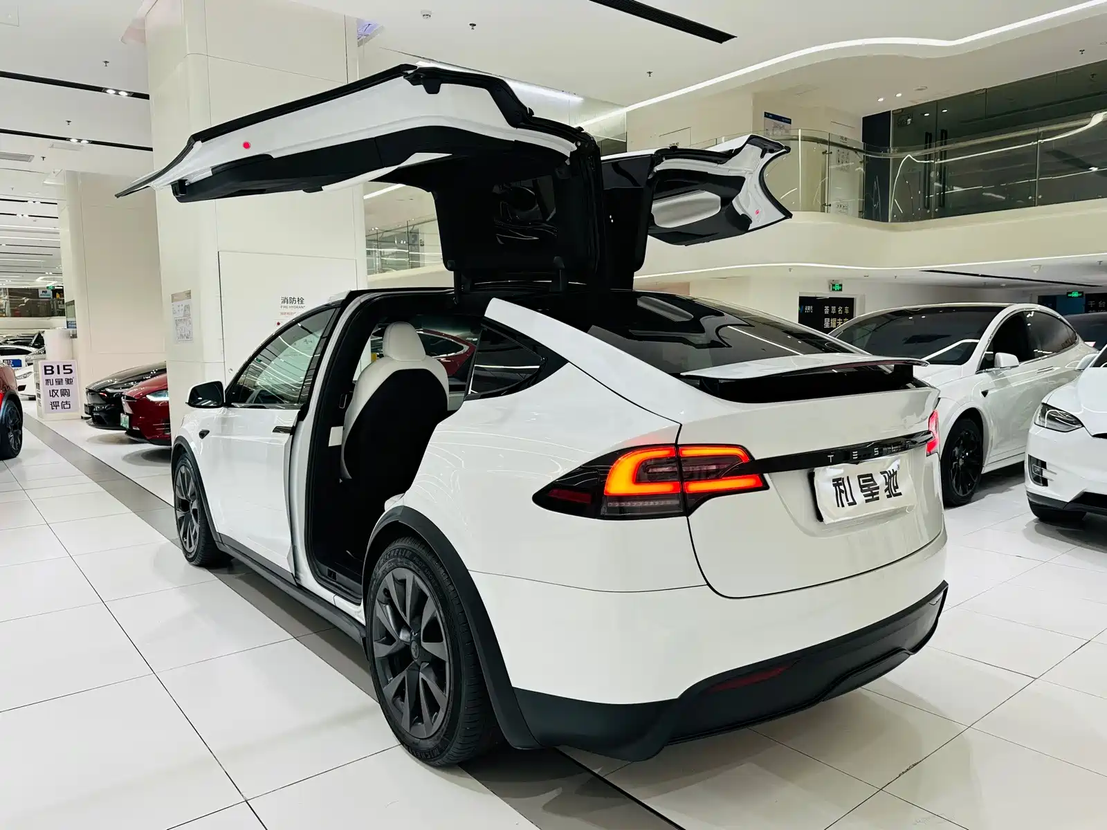 Фото 4 - Tesla Model X