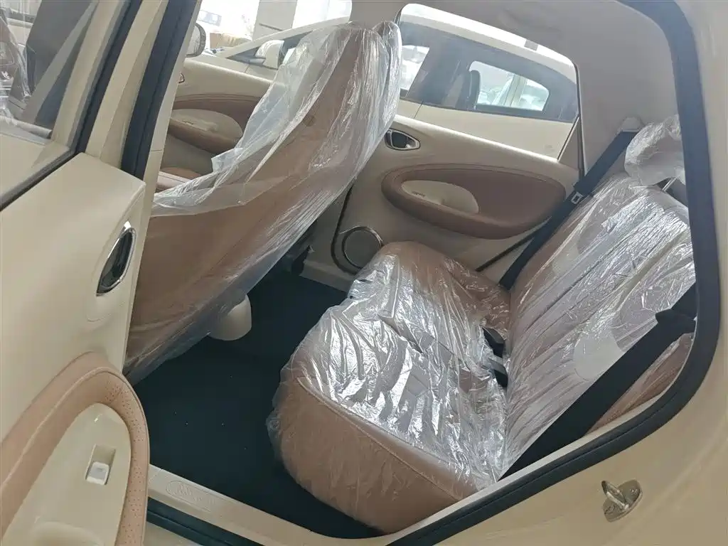 Wuling Motors Wuling Bingo 2026 2025 Model 333km Joy Edition