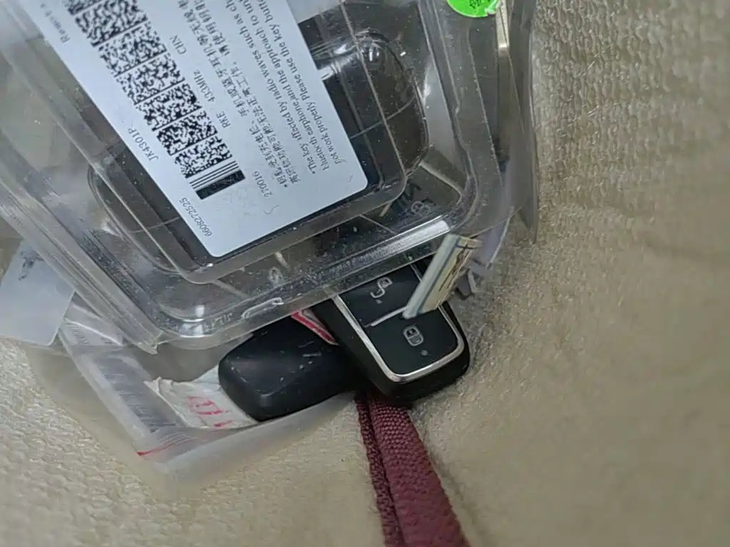BYD Seagull 2026 2025 Smart Drive Edition 305km Vitality Version