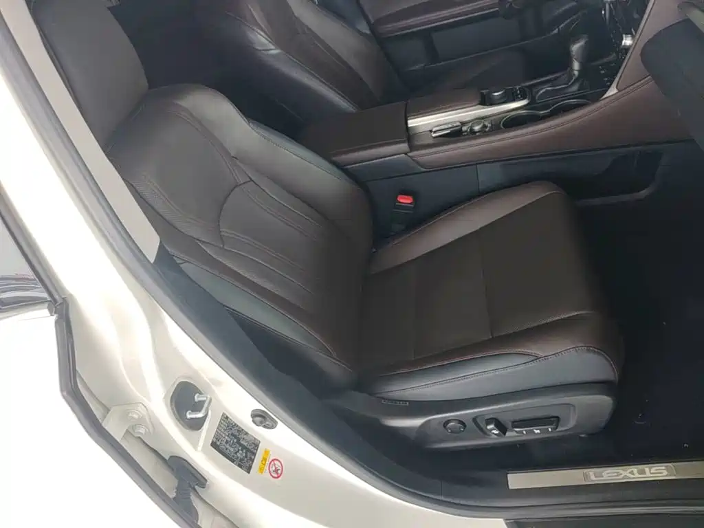Фото 20 - Lexus RX