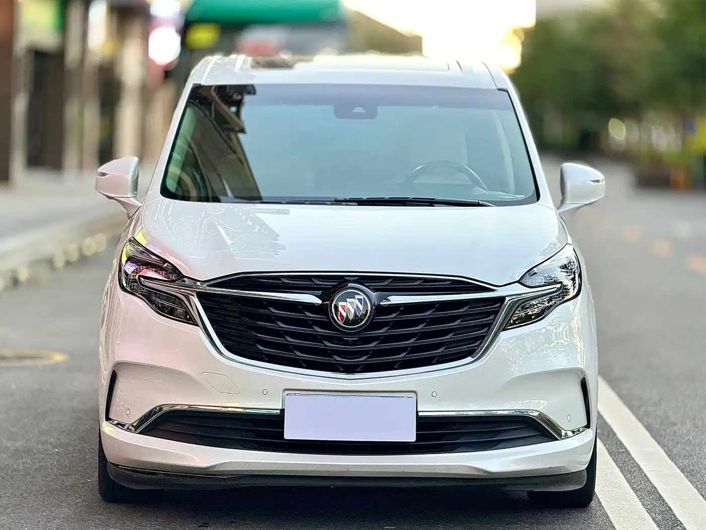 Buick GL8 2022 ES Landmark 653T Luxury фото 2