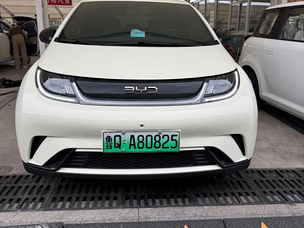 BYD Dolphin 2026 2025 420km Freedom Edition
