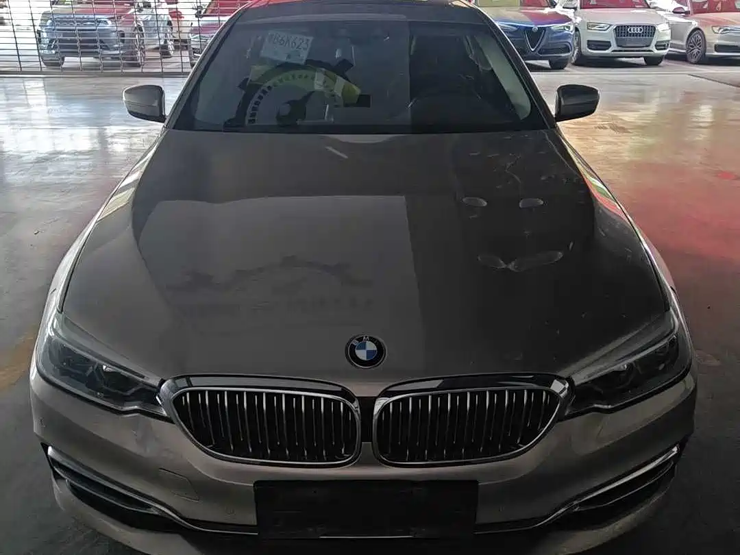 BMW 5 SERIES NEW ENERGY