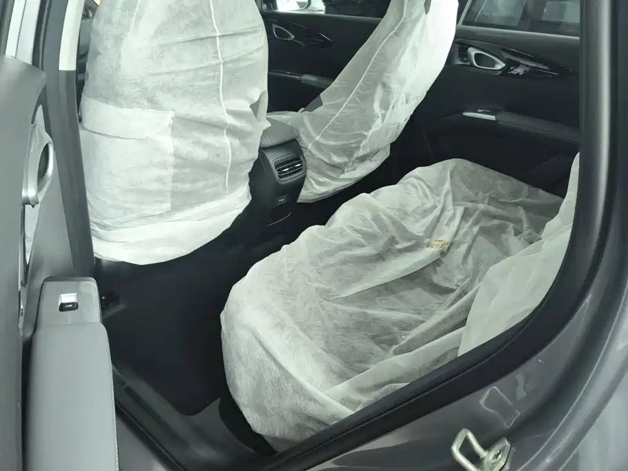 Geely Galaxy Starry Wish 2026 2026 Model 310km Dream Edition