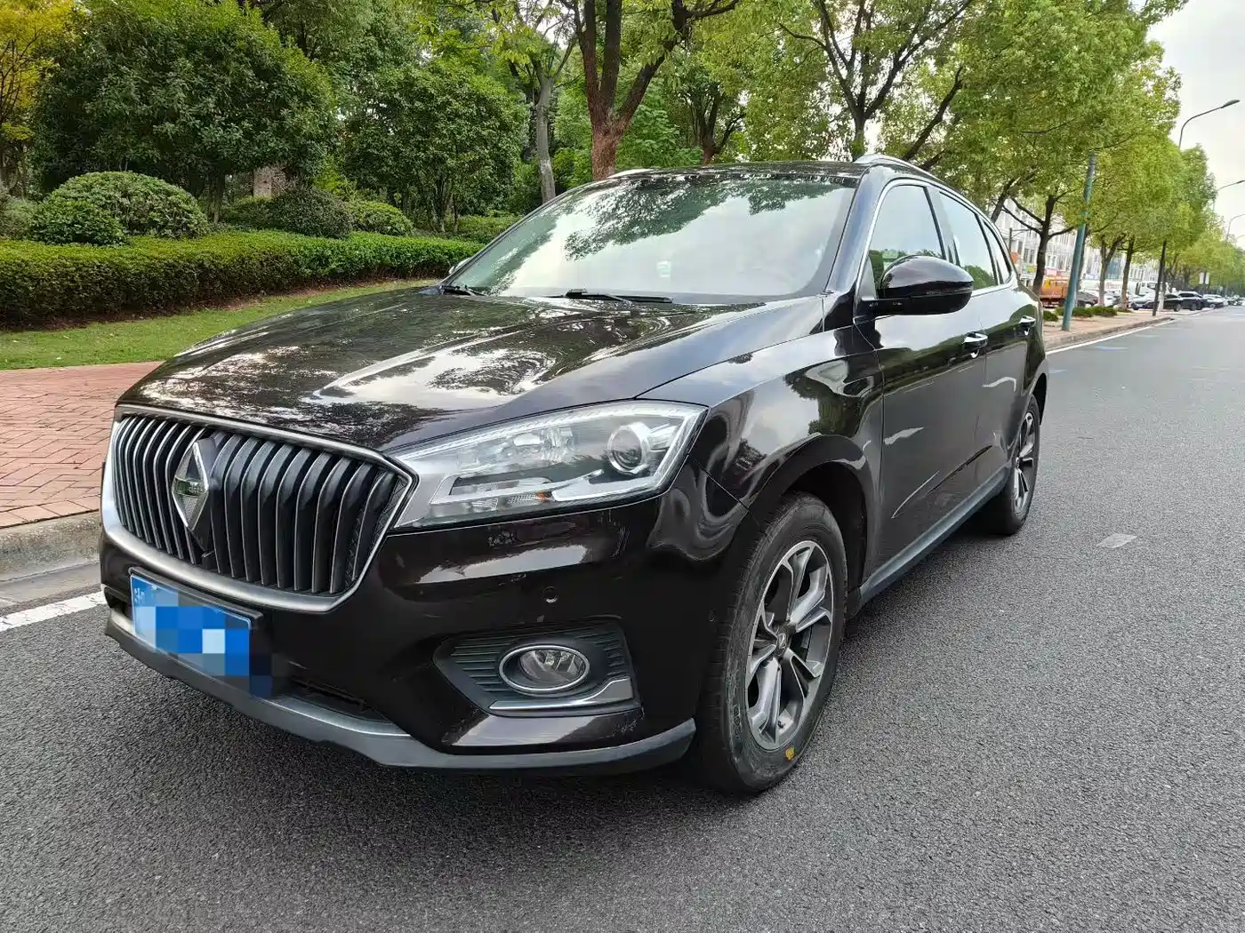 Фото 1 - Borgward BX7