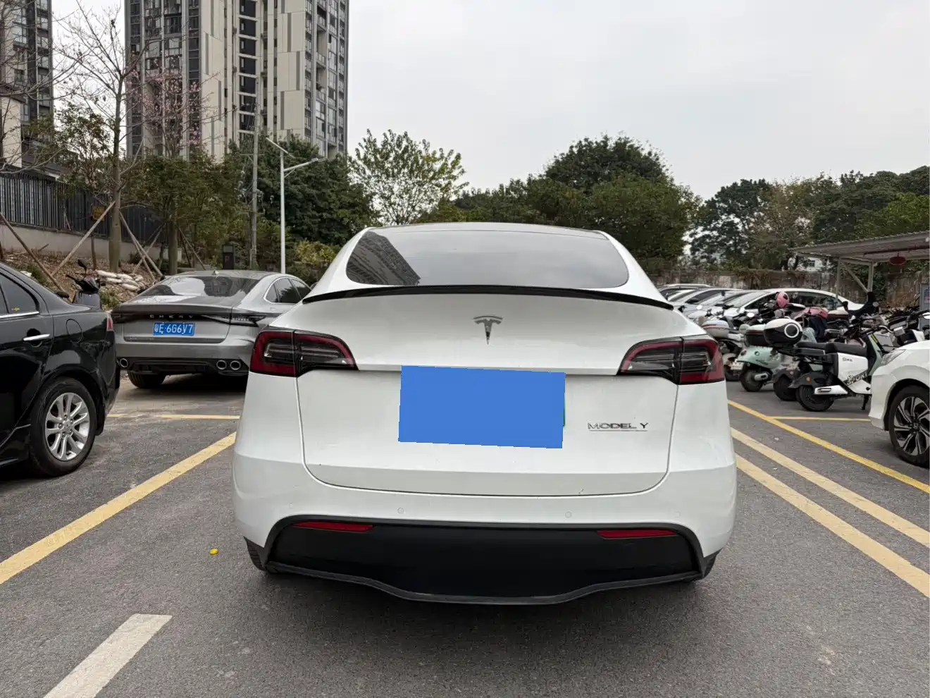 Фото 7 - Tesla Model Y