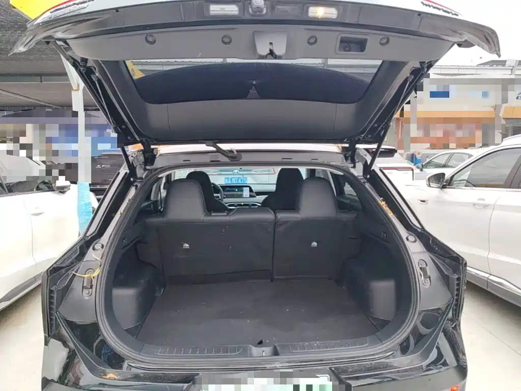 Venucia DaV DD-i 2025 2023 110km iE Edition