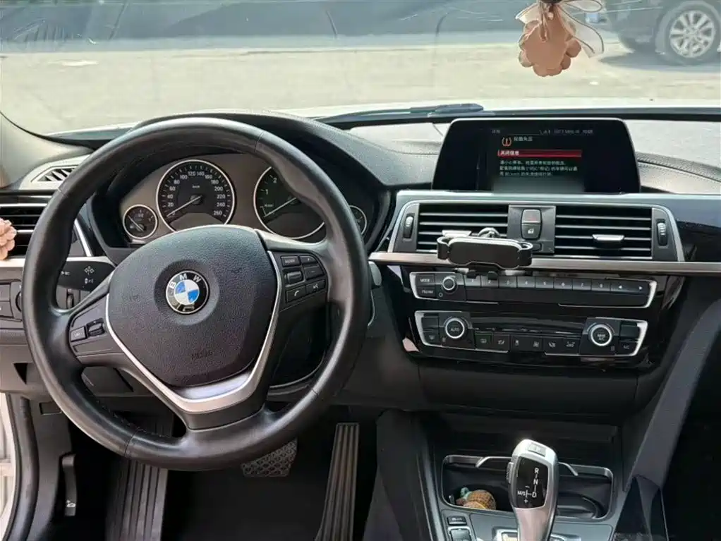 BMW 3 Series 2018 318Li фото 19