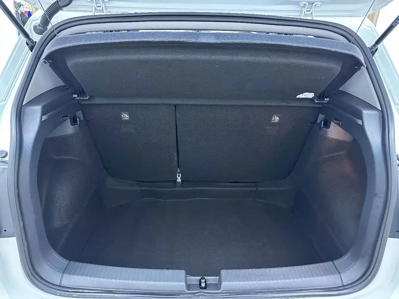 Volkswagen Tanying, миниатюра 15