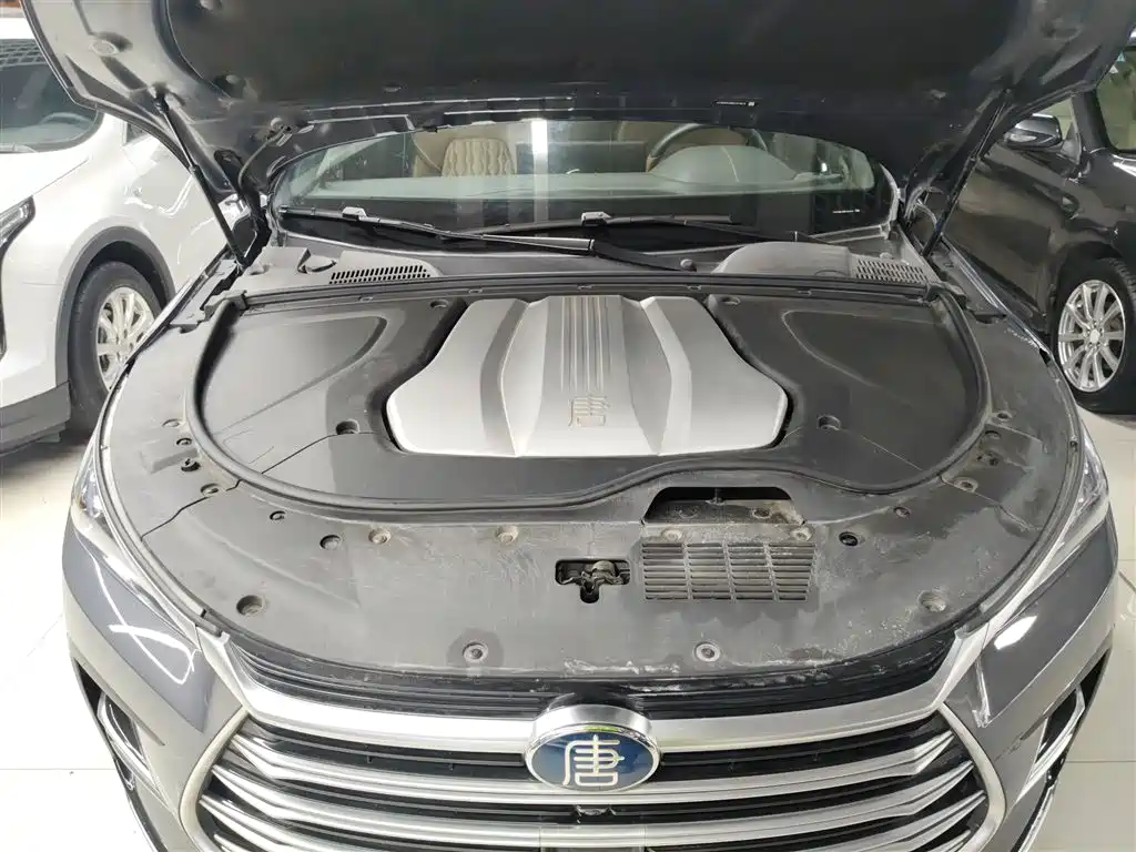 BYD Tang New Energy 2021 DM 2.0T AWD High Performance Genesis Flagship фото 16