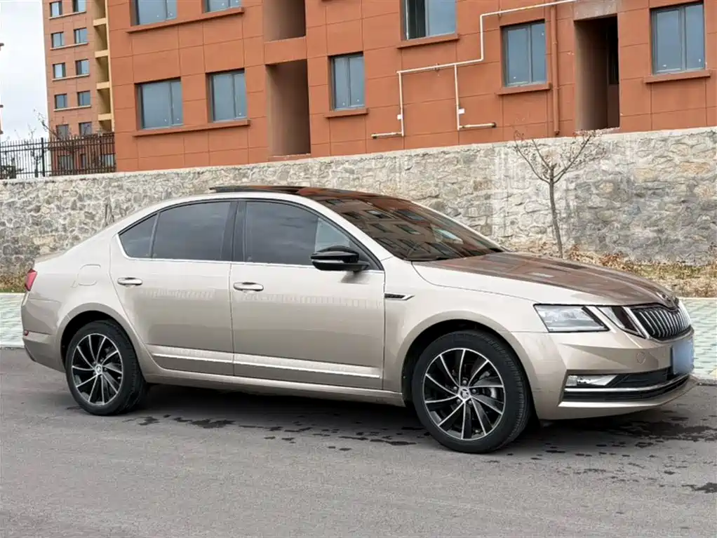 Škoda Octavia 2018 TSI280 DSG Luxury Edition фото 14