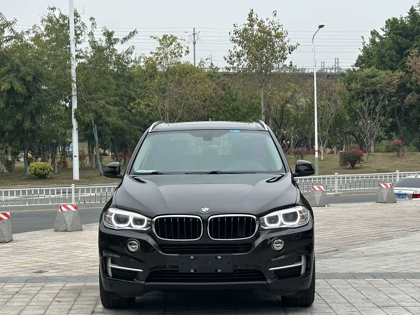 BMW X5 (Import) 2014 xDrive35i Leading фото 2