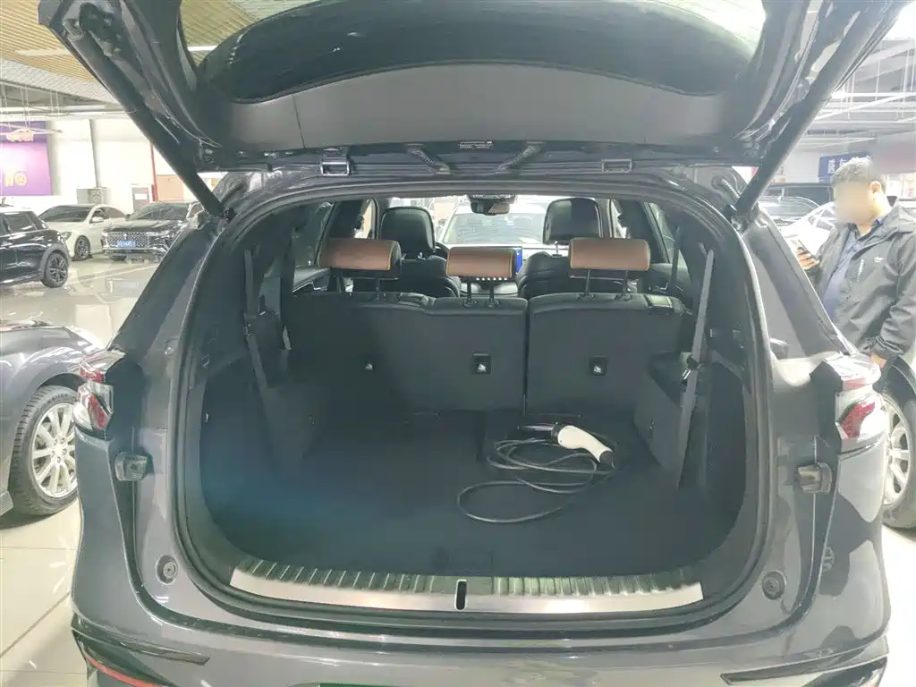 BYD Tang New Energy 2021 DM 2.0T AWD High Performance Genesis Flagship фото 15