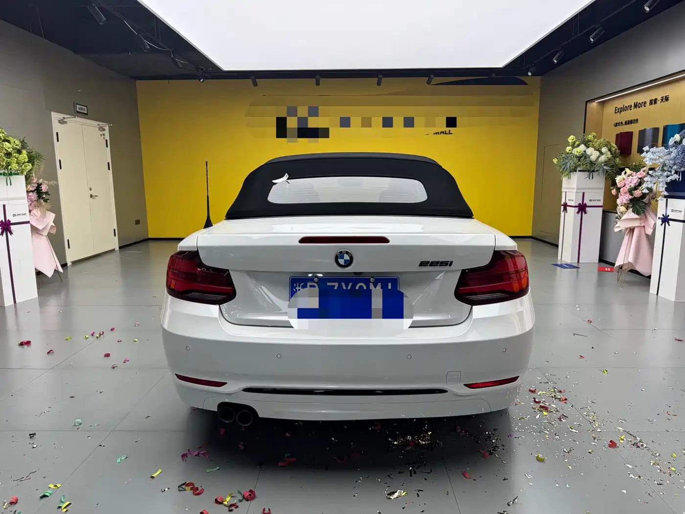 BMW 2 Series (Import) 2019 225i Convertible Coupe Sport Design Package фото 12
