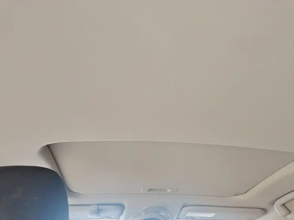 Toyota IZOA 2022 2021 Hybrid 2.0L YiXing Edition