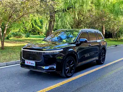 Li Auto ONE