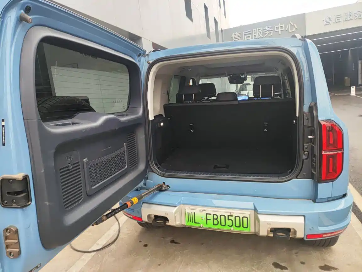 FANG CHENG BAO LEOPARD 5