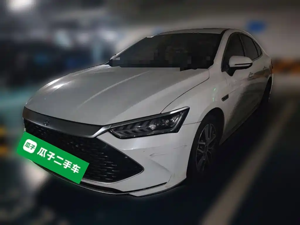 BYD Qin PLUS 2023 Champion Edition DM-i 55KM Surpassing