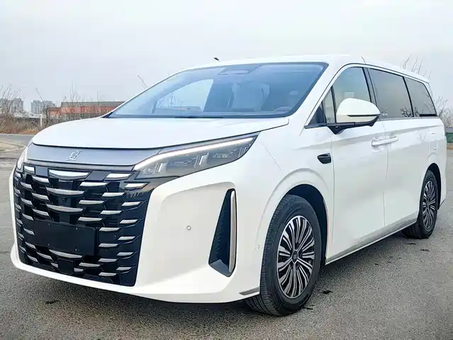  BYD Xia 2025 DM-i 1.5T 100km Surpass Edition