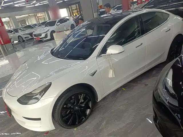 TESLA MODEL 3 2020