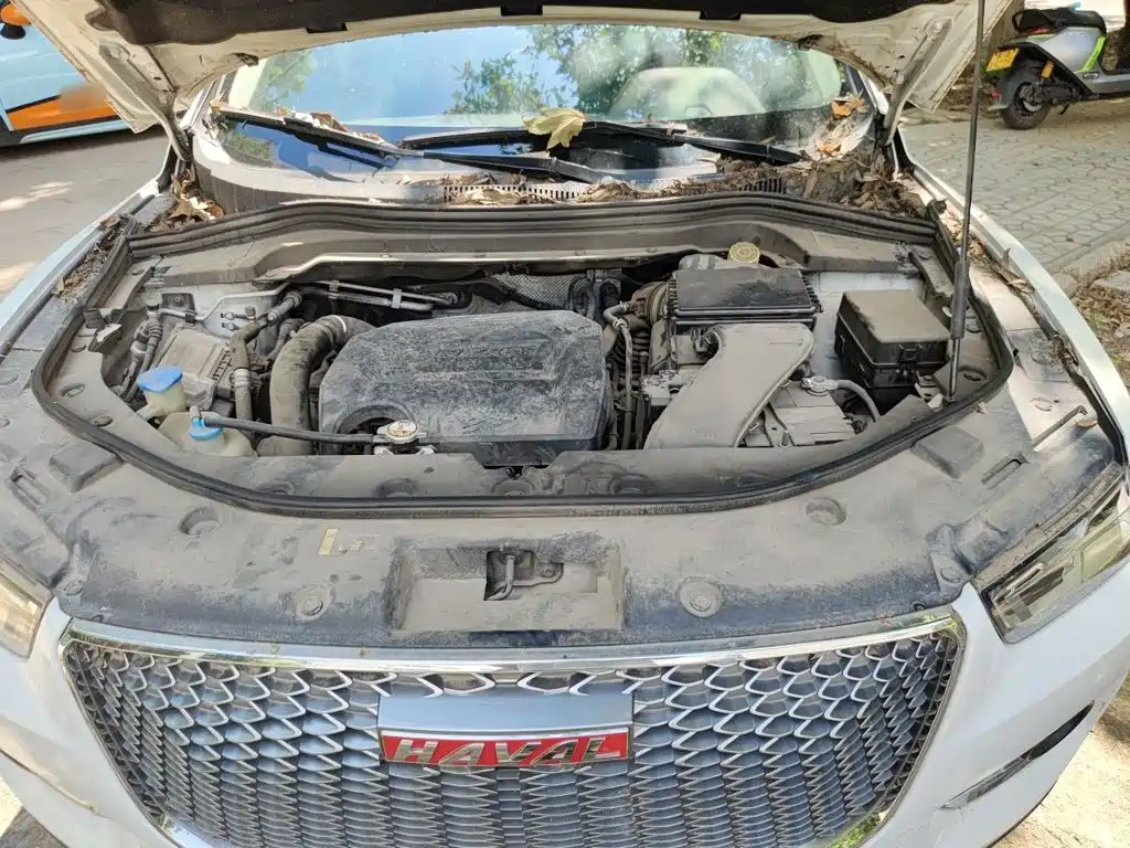 Haval H2s 2017 2018 Red Label 1.5T DCT Elite Model