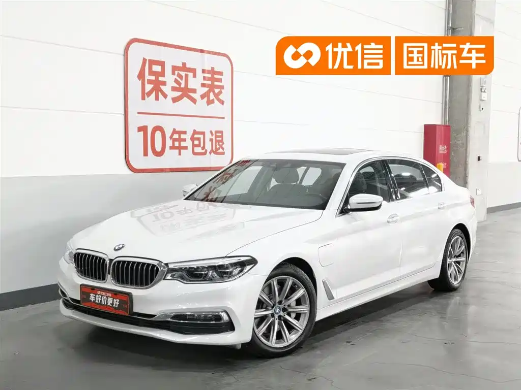 BMW 5 Series New Energy 2019 530Le Luxury Package