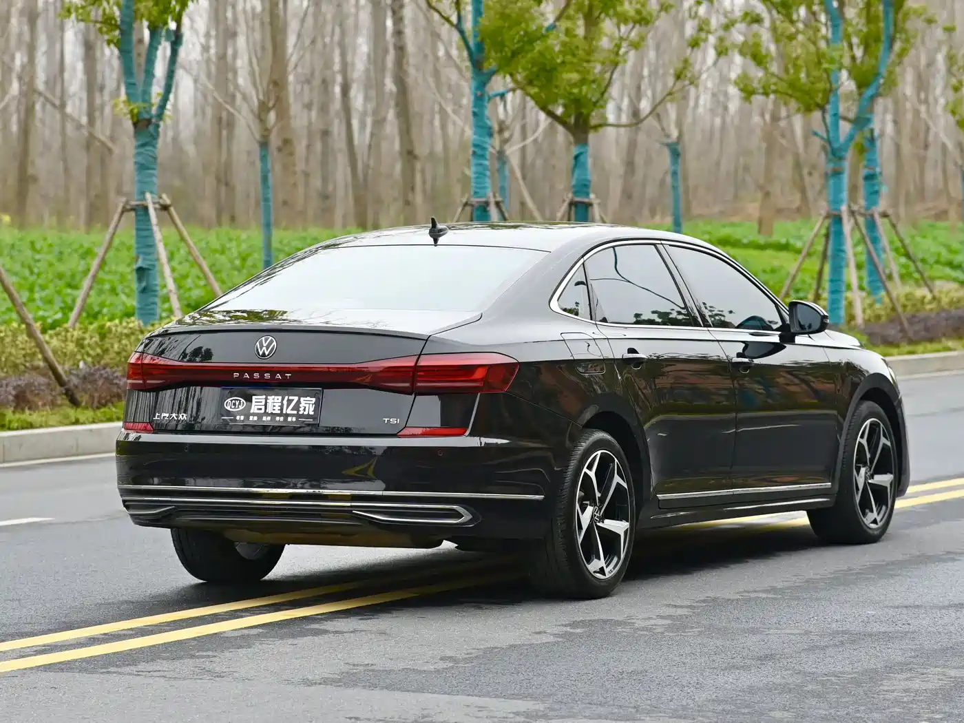 Volkswagen Passat 2023 330TSI Starlight Elite Edition фото 14