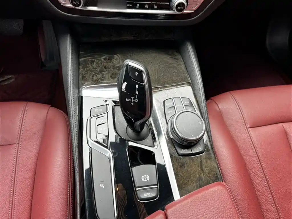BMW 5 Series 2020 530Li Leading M Sport Package фото 22