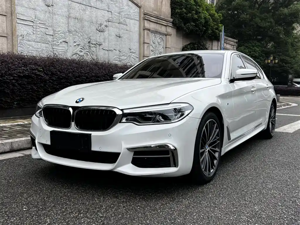 BMW 5 Series 2020 530Li Leading M Sport Package