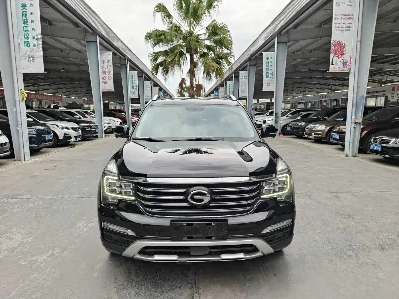 GAC Trumpchi Trumpchi GS8 2017 320T 2WD Luxury Smart Connect (7-seater) фото 3