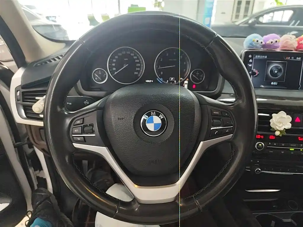 BMW X5 (Import) 2017 xDrive28i фото 11