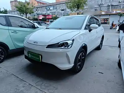 Neta V