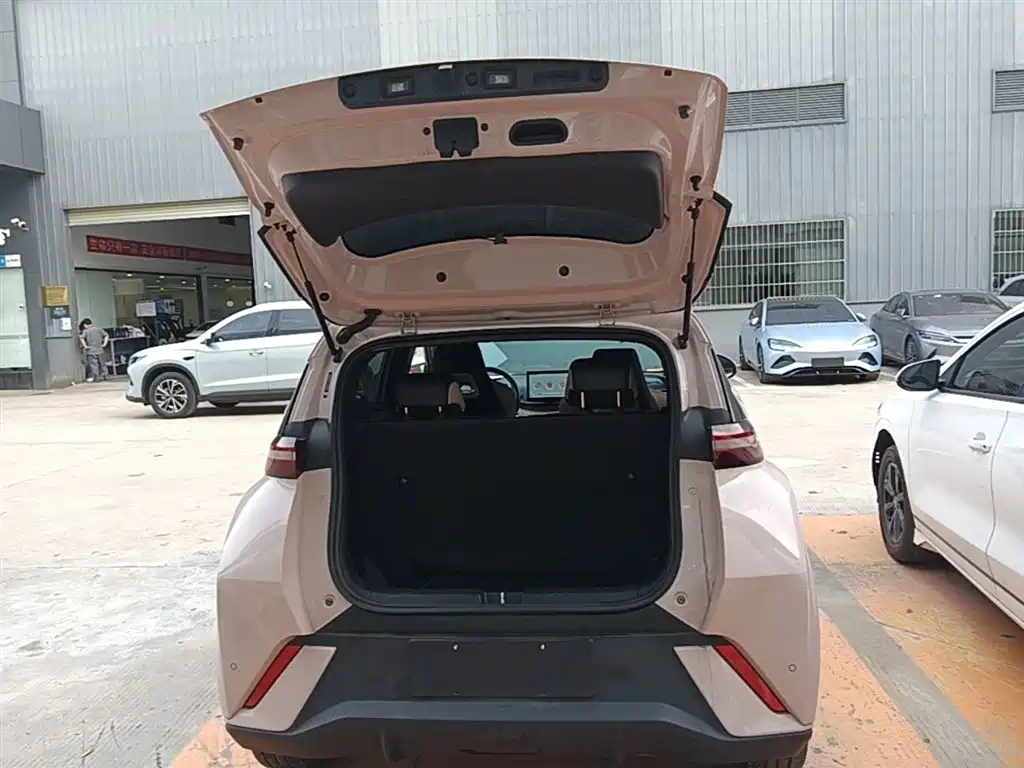 BYD Seagull 2023 Flying Edition фото 19