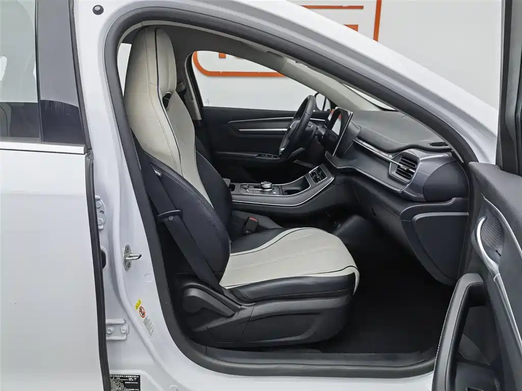 BYD Destroyer 05 2024 Glory Edition DM-i 55KM Luxury фото 23