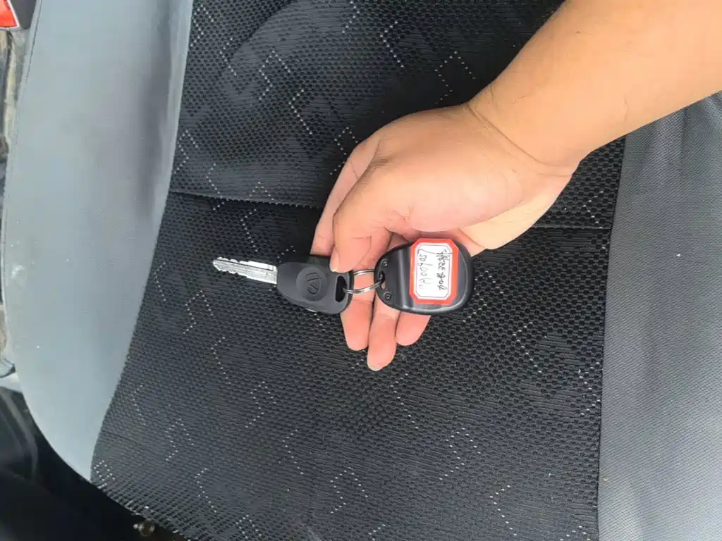 Photo 9 - Success Auto Zebra