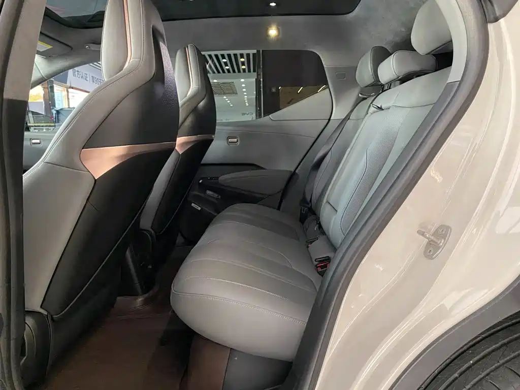 ZEEKR X 2025 2025 5-Seater RWD Edition