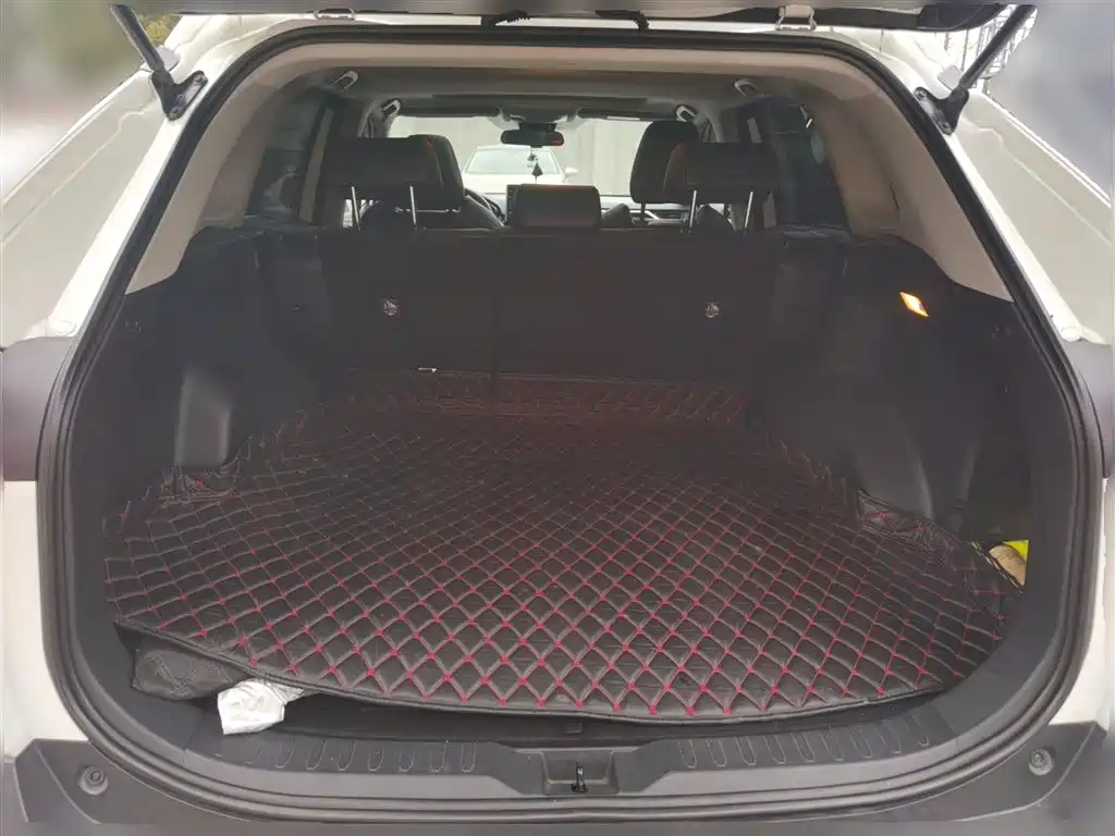Toyota Wildlander 2020 2.0L CVT 2WD Luxury Edition фото 17
