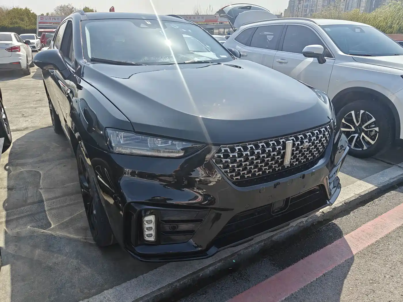 WEI PAI WEI BRAND VV7