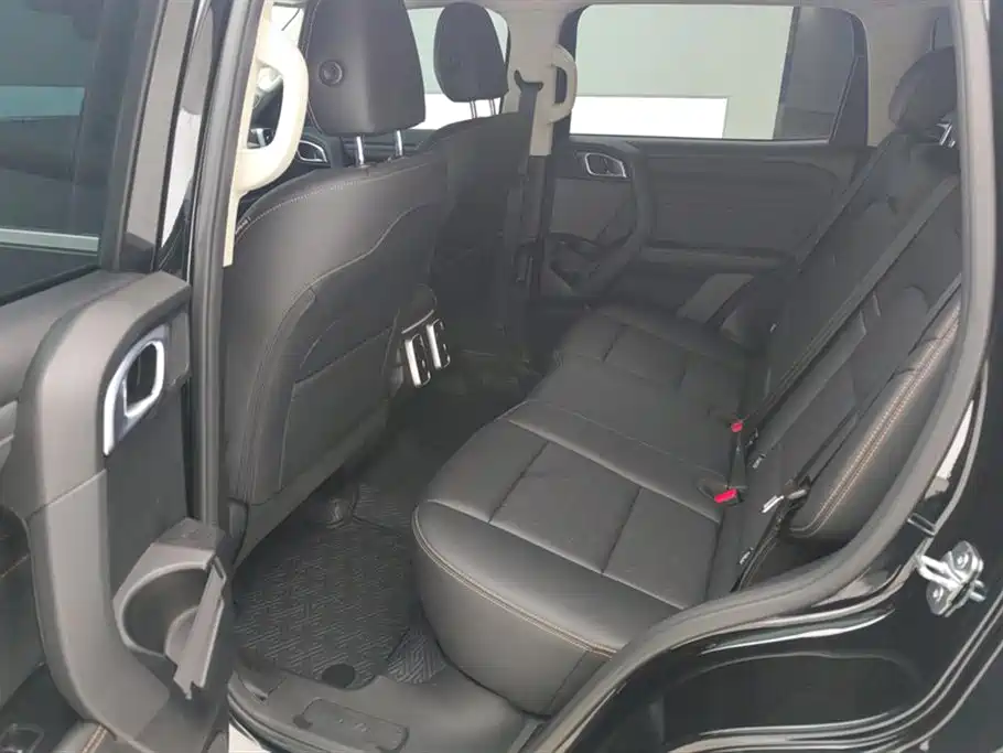 Haval Big Dog 2024 2.0T DCT Chinese Rural Dog Edition фото 11