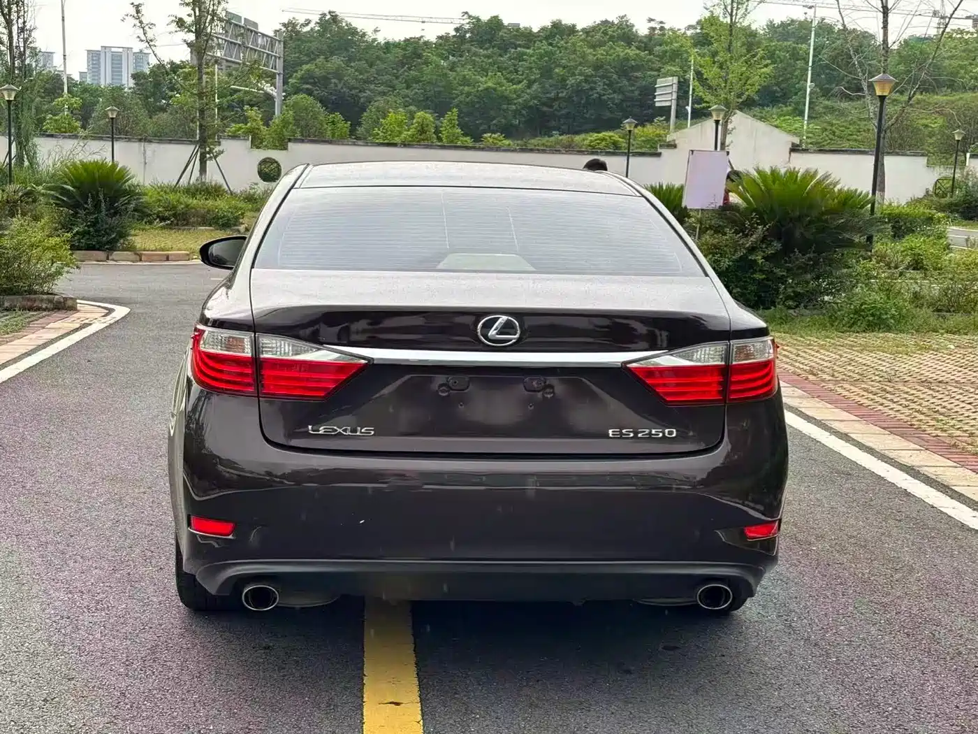 Lexus ES 2014 250 Elite Edition фото 5